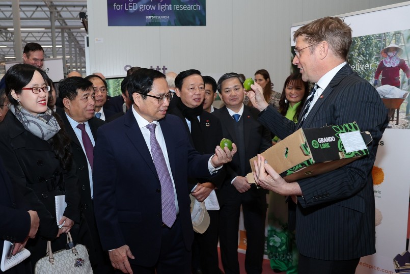 Hà Lan sẵn sàng là đối tác đồng sáng tạo với Việt Nam trong nông nghiệp