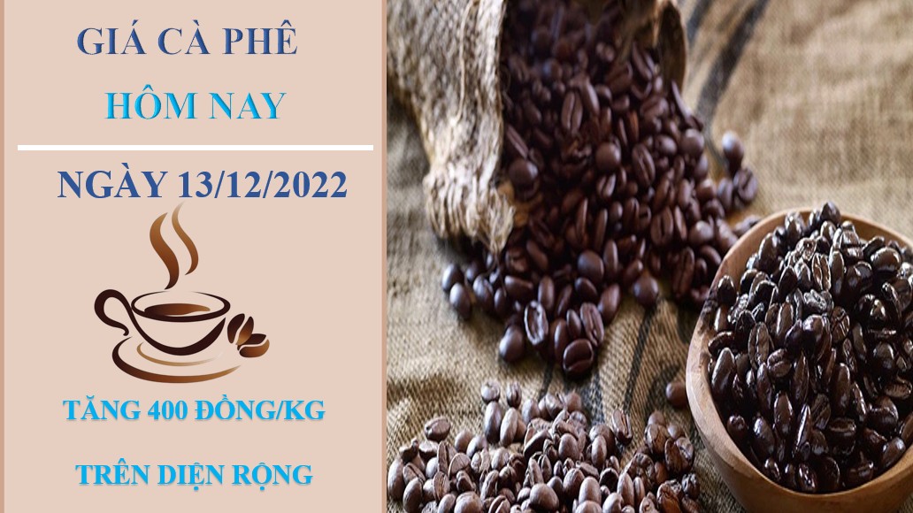 Giá cà phê hôm nay 13/12/2022: Đảo chiều tăng tại các địa phương