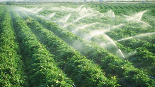 Biến nước thải thành phân bón giúp nền nông nghiệp bền vững hơn