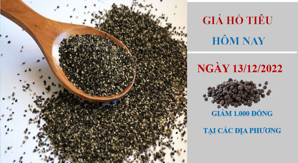 Giá hồ tiêu hôm nay 13/12/2022: Giảm 1.000 đồng/kg, nhưng đã xuất hiện tín hiệu sáng