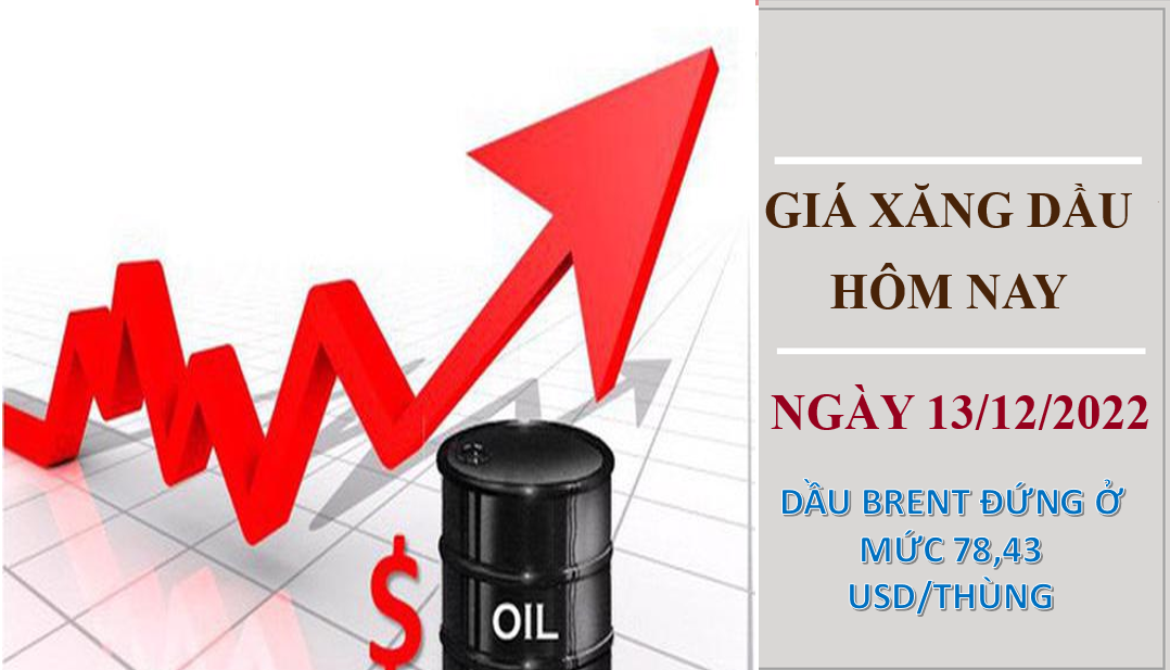 Giá xăng dầu hôm nay 13/12/2022: Giá dầu tiếp đà tăng mạnh