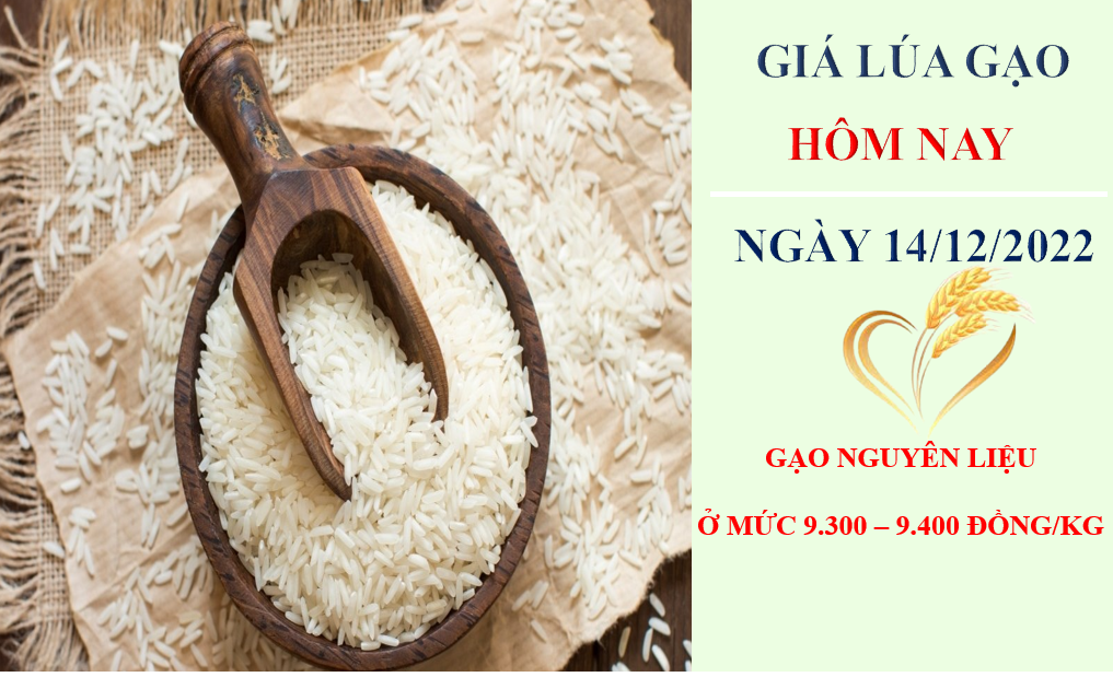 Giá lúa gạo hôm nay 14/12/2022: Giá gạo 5% xuất khẩu tăng 5 USD/tấn