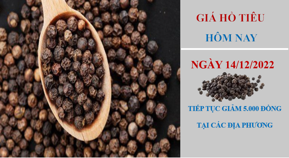 Giá hồ tiêu hôm nay 14/12/2022: Giảm 500 đồng/kg, song thị trường đã có tín hiệu khả quan