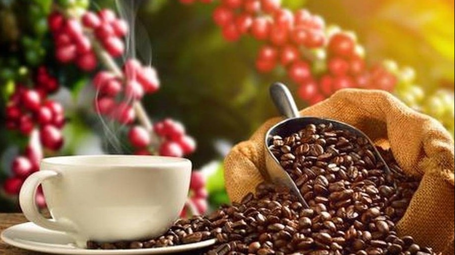 Xuất khẩu cà phê sẽ duy trì xu hướng tích cực trong năm 2023?