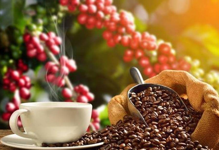 Xuất khẩu cà phê sẽ duy trì xu hướng tích cực trong năm 2023?