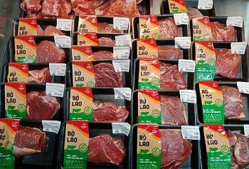 Bầu Đức chính thức bán bò Lào liệu có tạo cơn sốt như heo ăn chuối?