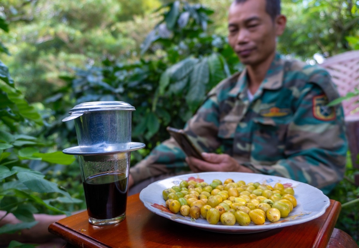 Với những người sành cà phê thì hương vị của cà phê Bourbon có nét đặc trưng riêng