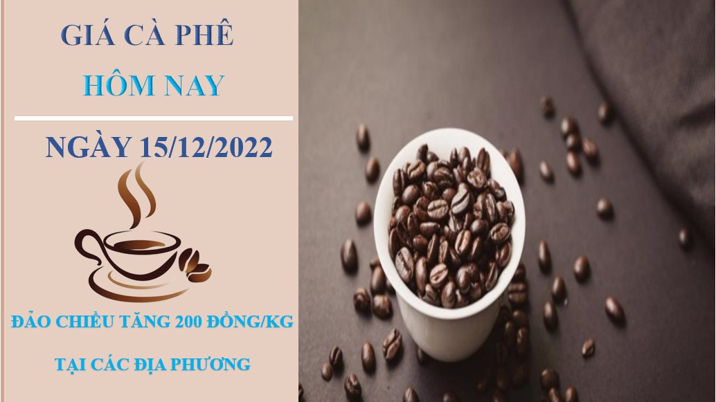 Giá cà phê hôm nay 15/12/2022: Đảo chiều tăng nhẹ 100 đồng/kg