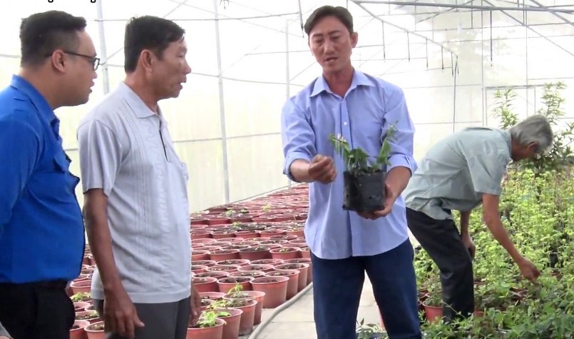 Anh Trần Thanh Quý, TX Gò Công, tỉnh Tiền Giang chia sẻ kinh nghiệp trồng sâm bố chính với nông dân.