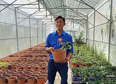 Anh Trần Thanh Quý, (xã Bình Đông, TX Gò Công, tỉnh Tiền Giang) bên vườn cây nhân sâm trồng trong chậu của mình.