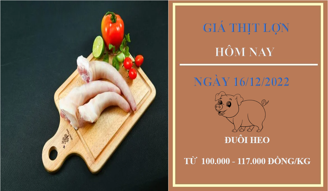 Giá thịt heo hôm nay 16/12/2022: Tiếp tục ổn định tại Công ty Thực phẩm bán lẻ