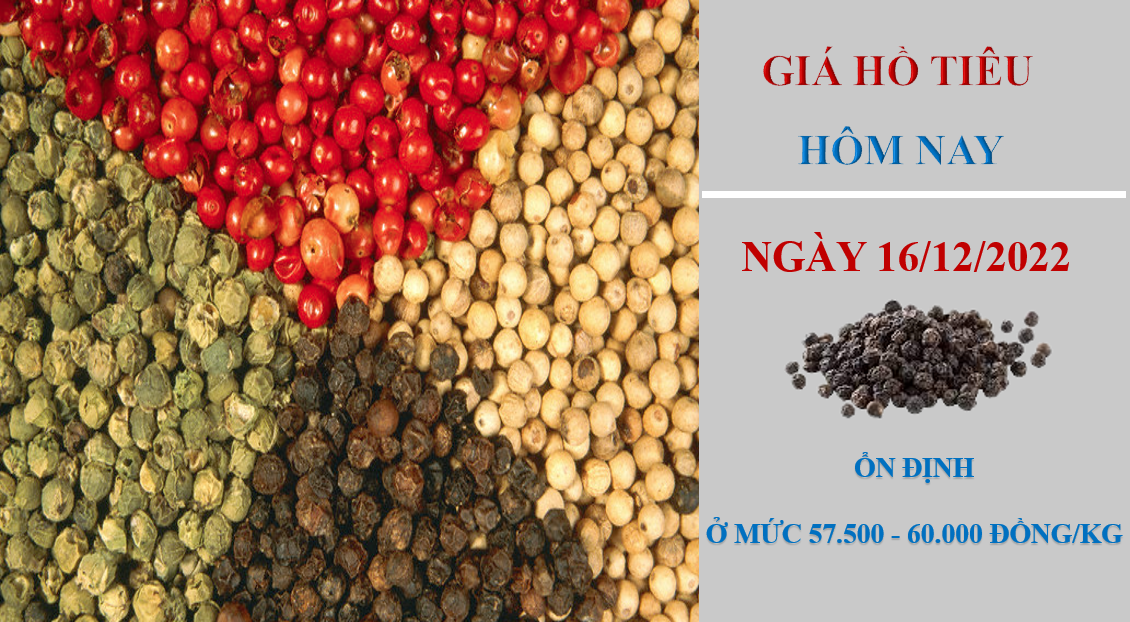 Giá hồ tiêu hôm nay 16/12/2022: Đi ngang tại các địa phương