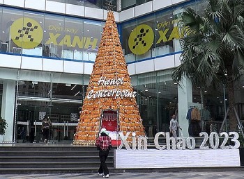 Cây thông Noel độc lạ từ 8.000 bắp ngô ở Hà Nội gây sốt vì ý tưởng bá đạo