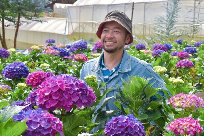 Từng là kỹ sư điện nhưng anh Thắng đã quyết định về trồng hoa cẩm tú cầu tím trong khu đất của gia đình mình