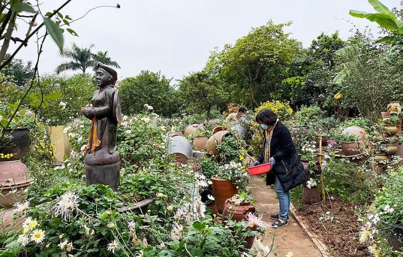 Những kiểng bonsai cúc cổ gợi nhớ vẻ hoang sơ xưa cũ như thời tiền sử.