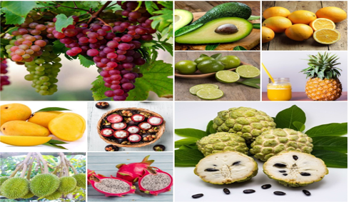 10 loại quả “cực tốt” nếu ăn vào ban ngày, nhưng lại “cực hại” nếu ăn vào ban đêm