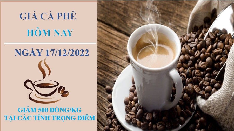 Giá cà phê hôm nay 17/12/2022: Giảm 500 đồng/kg tại các tỉnh trọng điểm