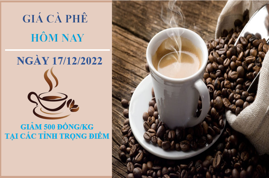 Giá cà phê hôm nay 17/12/2022: Giảm 500 đồng/kg tại các tỉnh trọng điểm