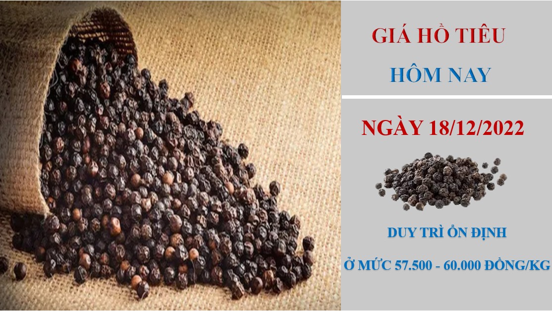 Giá hồ tiêu hôm nay 18/12/2022: Giảm 1.500 - 2.000 đồng/kg trong tuần qua