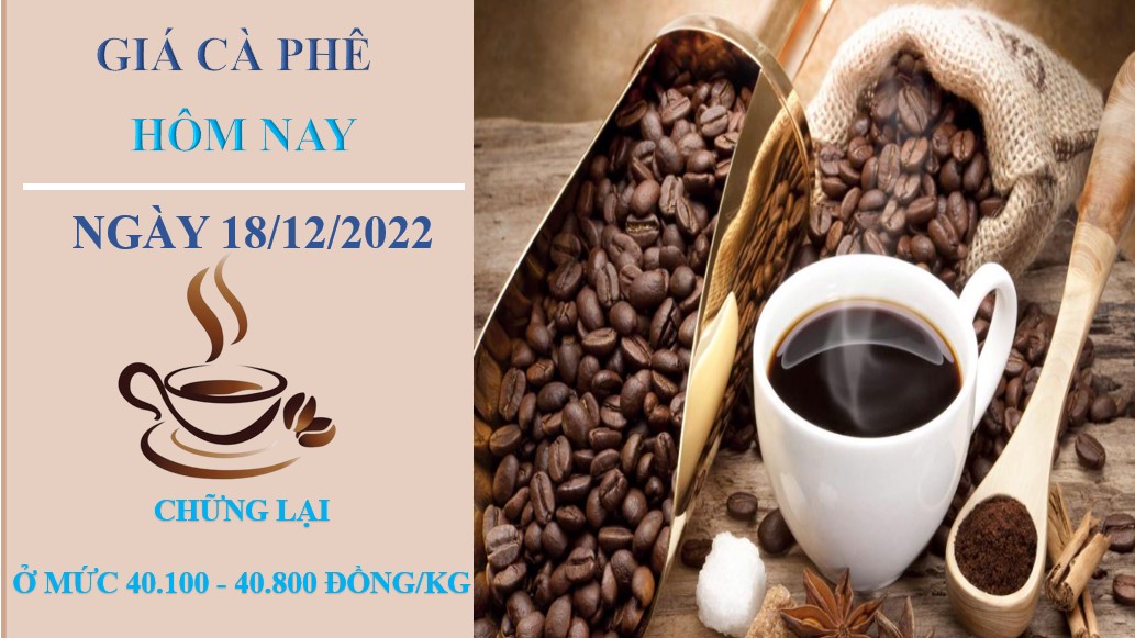 Giá cà phê hôm nay 18/12/2022: Không ghi nhận điều chỉnh mới