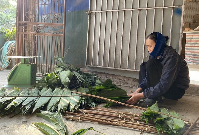Bà Lê Thị Dung, 64 tuổi, ở Đồng Chiêm tranh thủ lúc nông nhàn phụ nẹp lá tre kiếm tiền, được trả công 70-100 nghìn đồng/ngày.