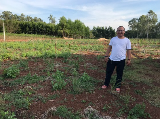 anh Huỳnh Hữu Quyền (30 tuổi, thôn Phú Nhiêu, xã Bình Tân Phú, huyện Bình Sơn, tỉnh Quảng Ngãi) mang về trồng trên diện tích 13 sào và vườn ươm đầu tư hơn 600 triệu đồng.