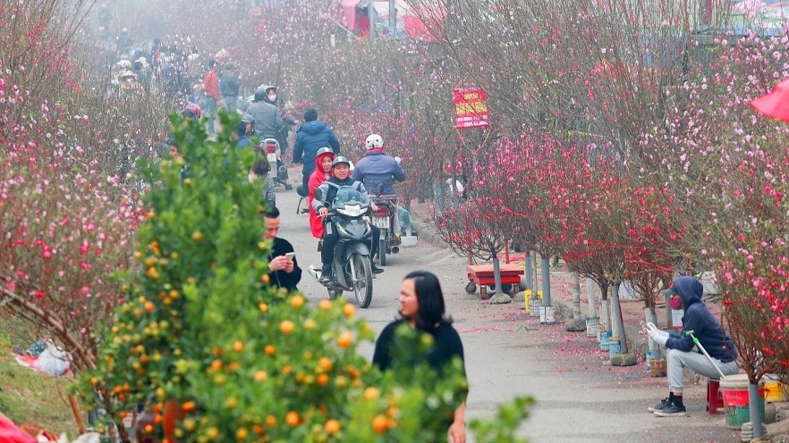 Danh sách 91 chợ hoa xuân tại Hà Nội dịp Tết Nguyên đán Quý Mão