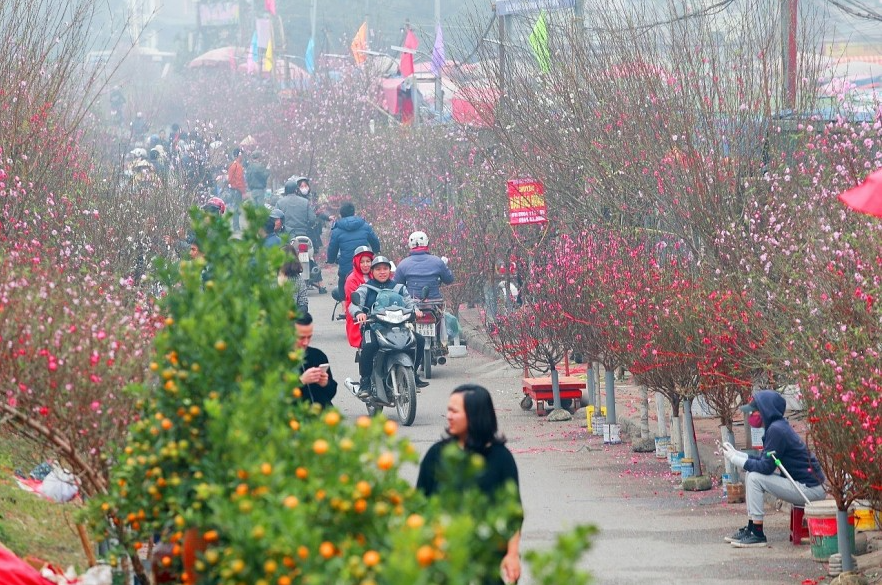Hà Nội tổ chức 91 chợ hoa xuân trong Tết Nguyên đán Quý Mão