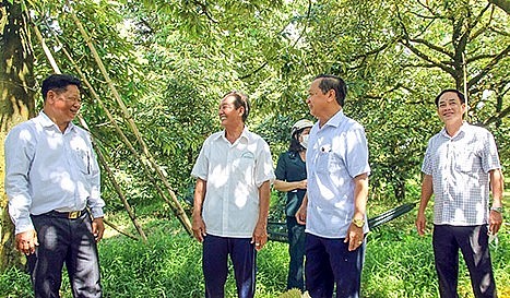 tỉnh Hậu Giang đã vận dụng nhiều chính sách nhằm hỗ trợ người dân chuyển đổi cây trồng sang canh tác sầu riêng sạch.
