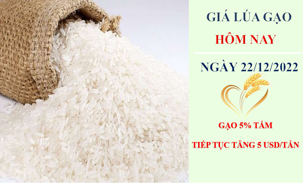 Giá lúa gạo hôm nay 22/12/2022: Giá gạo xuất khẩu dẫn đầu thế giới