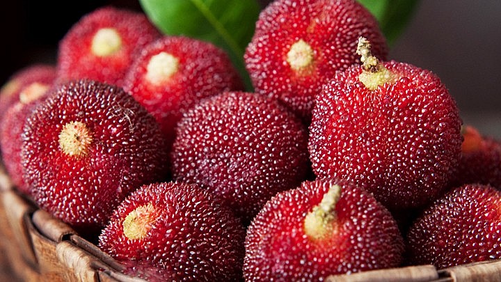 5 loại trái cây quen thuộc dễ gây ung thư bạn không ngờ tới, bất ngờ nhất là trái cuối cùng