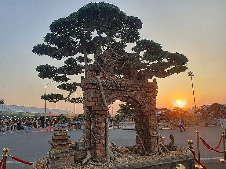 Trong vô số cây cảnh tham dự Lễ hội sinh vật cảnh Thủ đô 2022, cây sanh với tên gọi “Hồn quê” đã thu hút sự quan tâm của nhiều khách đến tham quan