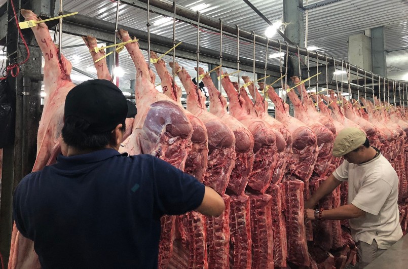Sức tiêu thụ thịt heo tại thị trường trong nước chậm khiến giá heo hơi neo ở mức thấp.