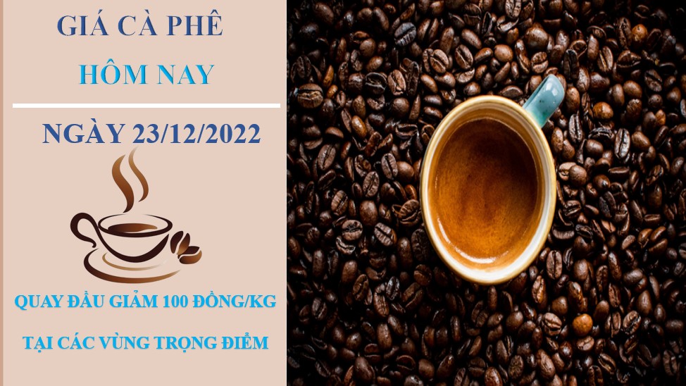 Giá cà phê hôm nay 23/12/2022: Giảm nhẹ 100 đồng/kg tại các địa phương