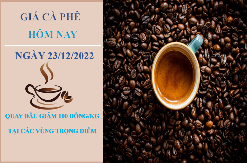 Giá cà phê hôm nay 23/12/2022: Giảm nhẹ 100 đồng/kg tại các địa phương