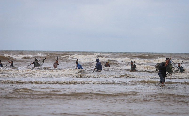 Mỗi khi có sóng lớn những con đặc sản sò lông lại nổi lên theo con sóng ập vào bờ. 
