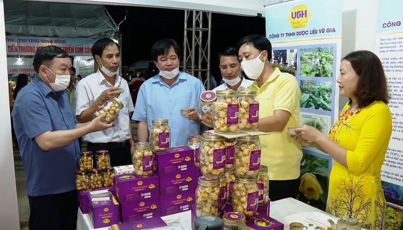 Anh Phạm Tiến Duật, Công ty TNHH Dược liệu Vũ Gia (áo vàng) giới thiệu về sản phẩm trà hoa vàng