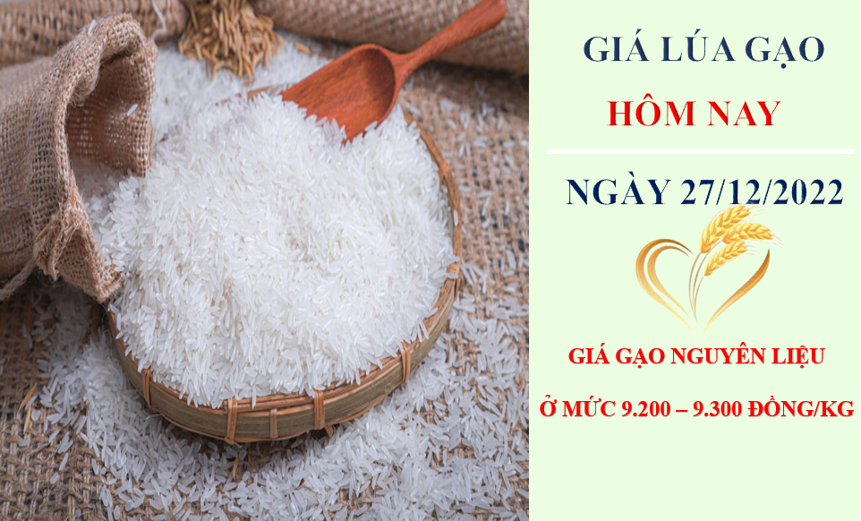 Giá lúa gạo hôm nay 27/12/2022: Tiếp tục đi ngang tại Đồng bằng sông Cửu Long