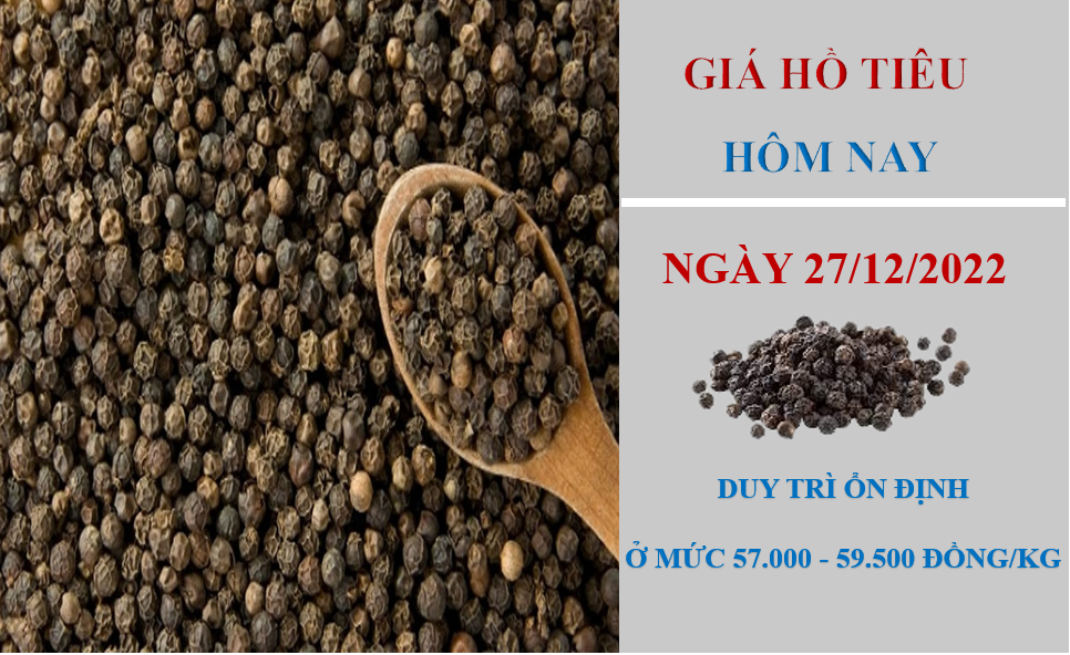 Giá hồ tiêu hôm nay 27/12/2022: không ghi nhận biến động mới