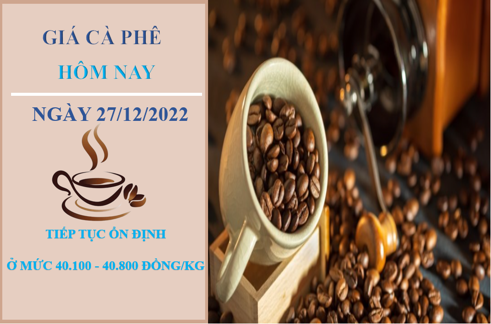 Giá cà phê hôm nay 27/12/2022: Chững lại tại các địa phương trọng điểm