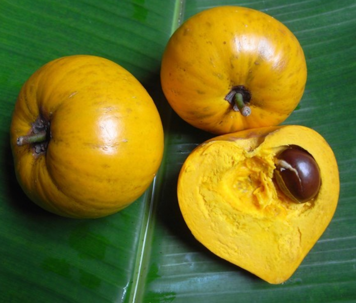 4 loại quả mọc dại ở Việt Nam, sang nước ngoài được săn lùng với giá đắt đỏ