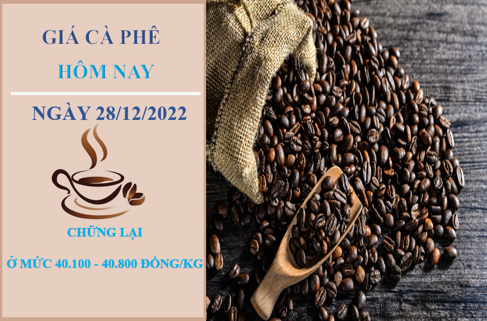 Giá cà phê hôm nay 28/12/2022: Đồng loạt không có điều chỉnh mới