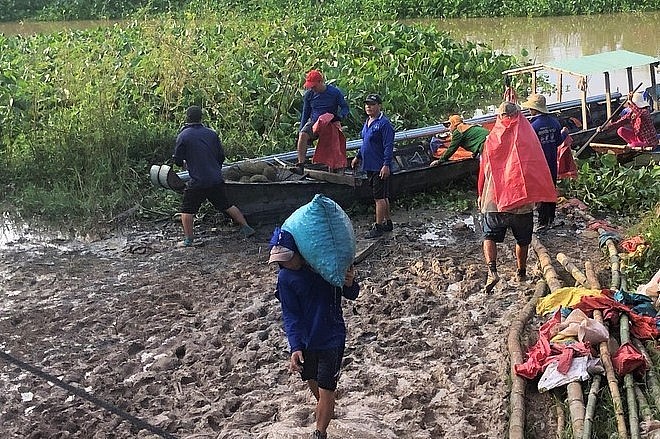 Ốc bươu vàng  Cavenui