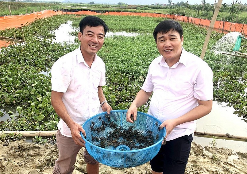 Mô hình nuôi cua đồng tại hộ ông Đỗ Mạnh Thắng ở khu Trung Giàu, xã Bình Phú, huyện Phù Ninh. 
