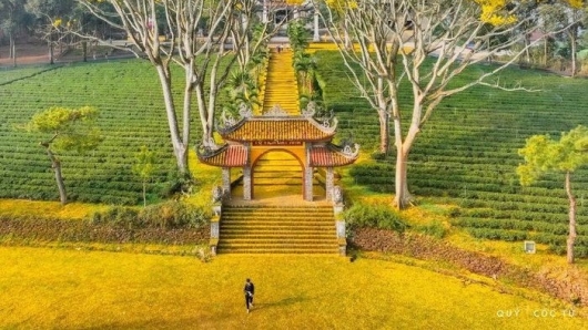 Chẳng cần đi đâu xa, tới Bảo Lộc check in lá vàng đẹp không kém gì Hàn Quốc