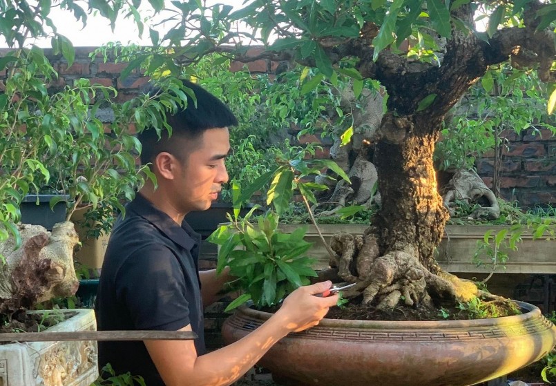 Anh Xuân Đính khởi nghiệp với cây kiểng bonsai lộc vừng từ năm 2018.