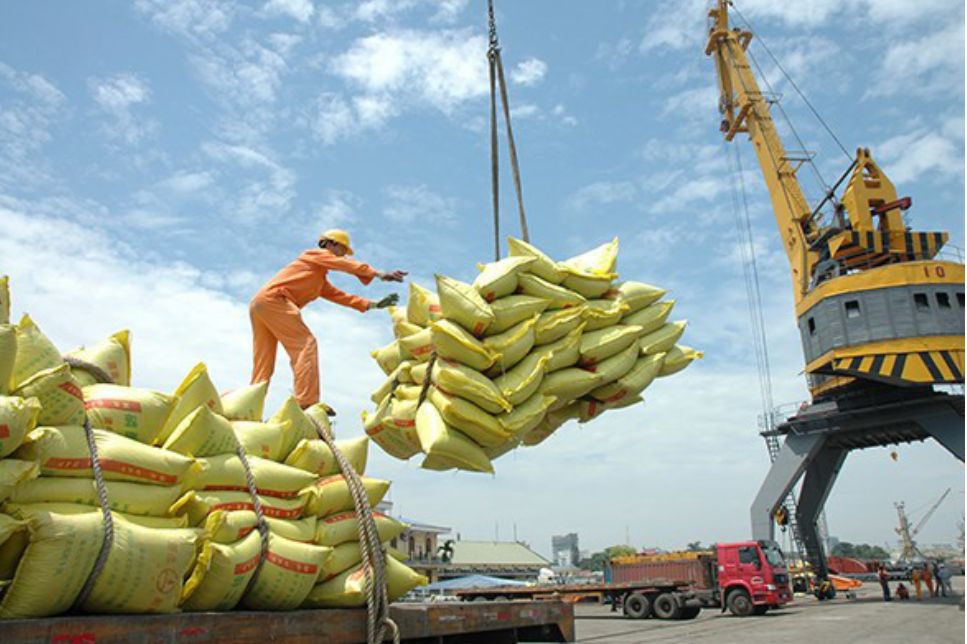 Giá gạo ở mức cao, xuất khẩu có nhiều cơ hội đột phá trong năm 2023