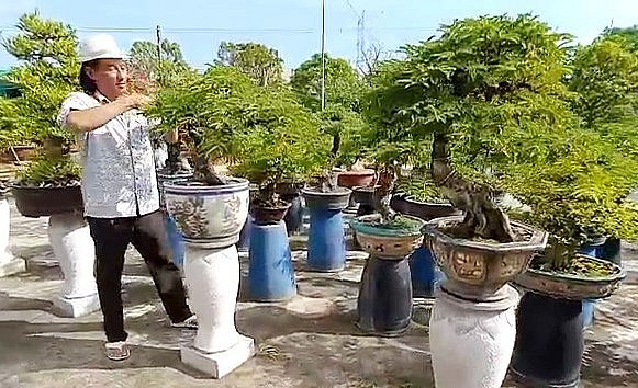 Hiện vườn bonsai của ông Nam có hơn 200 gốc kiểng.