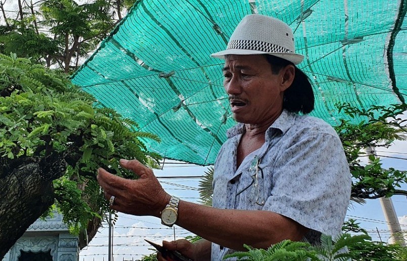 Trong vườn bonsai của ông Nam nhiều cây kiểng có giá vài trăm triệu đồng chứ không làm hàng chợ.
