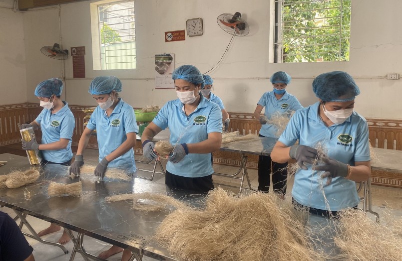 2.	Để làm ra những sợi miến ngon, người làng So sử dụng 100% bột của cây dong riềng nguyên chất.